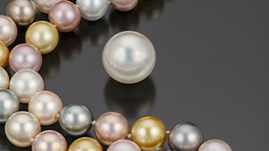 1-pearl-gallery-300x169