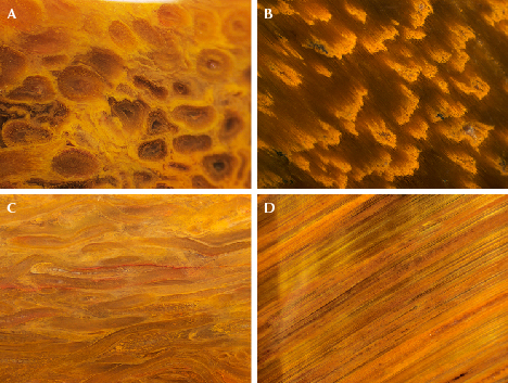 Four close-up images showcasing various textures and patterns in shades of orange and brown.