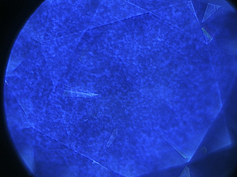 The radiation stains are inert to ultraviolet light.