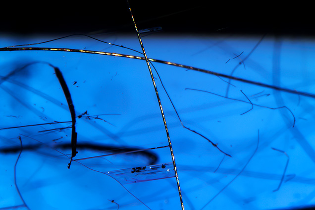 Merelaniite whisker inclusions in tanzanite.