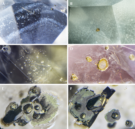 Figure 12. Inclusion scenes in French Bar sill sapphires. A: Angular to hexagonal bands of fine to elongate exsolved rutile silk and particulate platelets, as well as larger rutile crystals (RK-FBS 030). B: Primary protogenetic orange-brown rutile crystal (RK-FBS 051). C: Glassy silicate melt inclusions, natural melty fingerprints, and Rose channels (RK-FBS 030). D: Glassy silicate melt inclusions with partial decrepitation haloes (RK-FBS 030). E and F: Angular metallic included crystals with a black to gold appearance (depending upon lighting), which confocal micro-Raman spectra identified as pyrrhotite (RK-FBS 044). Photomicrographs by Nathan Renfro (A and C–F) and Christopher Smith (B); fields of view 2.07 mm (A), 1.21 mm (B), 1.23 mm (C), 1.31 mm (D), 2.13 mm (E), and 1.93 mm (F).