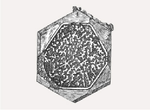 Figure B-3. Surface structure in a beryl from Mount Antero, Colorado, with a rim surrounding a larger cavity with irregular walls or columns developed within the cavity. From Hills (1890).