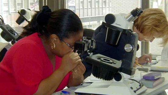 キャリアを始めるための実践的な経験。