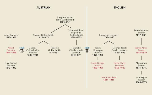 Families involved with the Habachtal mine, 1789–1979