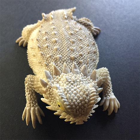 Horned toad carved from moose antler.