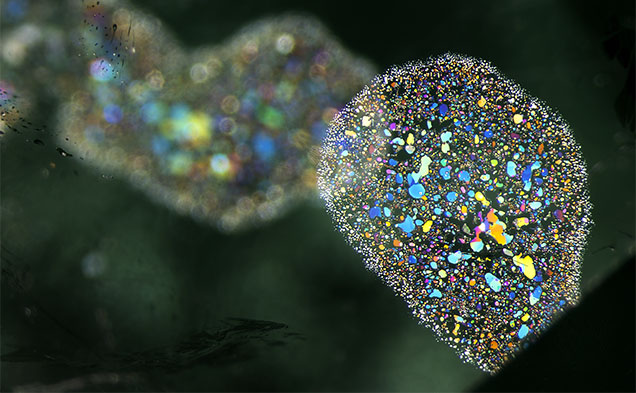 Figure 2. Like an artist’s palette, clusters of stacked thin films create a bouquet of color inside this Russian emerald. Photomicrograph by E. Billie Hughes; field of view 5.4 mm.