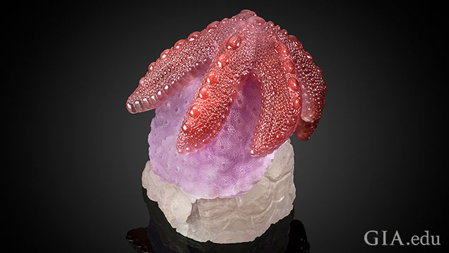 一只粉红色海星趴在珊瑚上。