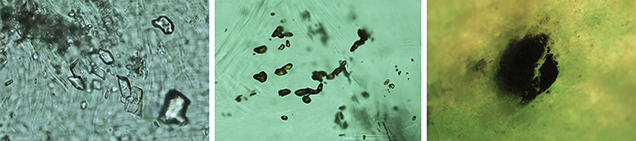 Solid inclusions in Swat emerald