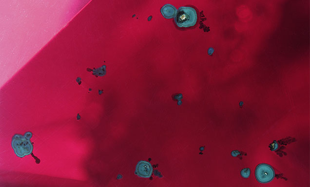 Figure 2. Banded aggregate malachite inclusions were observed breaking the pavilion of the cuprite. Photomicrograph by Britni LeCroy; field of view 4.74 mm.