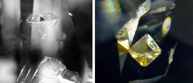 Left: Viewed from the pavilion of the 2.57 ct diamond, this transparent crystal inclusion with mirror image reflection resembles the profile of a faceted diamond under darkfield lighting. Image captured in monochrome; field of view 0.88 mm. Right: Using fiber-optic lighting, the crystal inclusion that appears opaque in the left image is displayed as a yellow octahedron; field of view 0.40 mm. Photomicrographs by Yagnesh Vyas (left) and Hemal Trivedi (right).