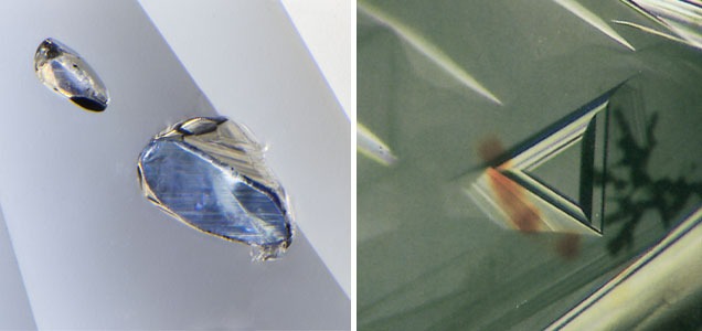 photomicroscopy photomicroscopy