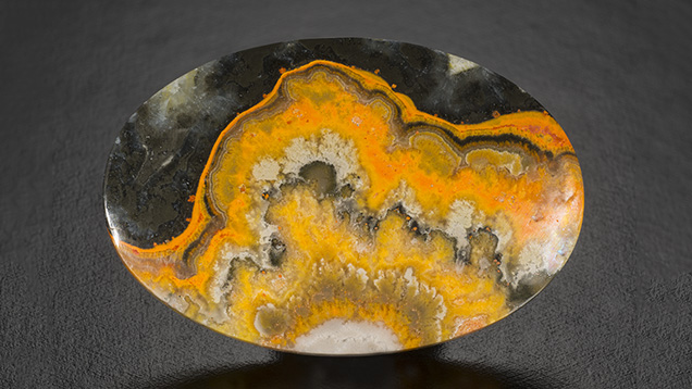 Bumble bee “jasper” cabochon