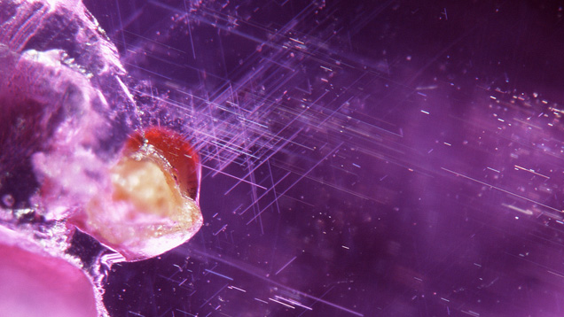 Well-defined rutile silk