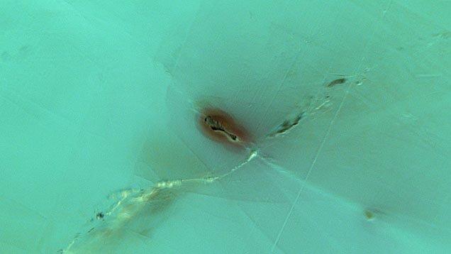 Figure 1. Top view of an altered etch tube in tourmaline resembling a drumstick of a chicken. Photomicrograph by Jamie Price; field of view 1.16 mm.