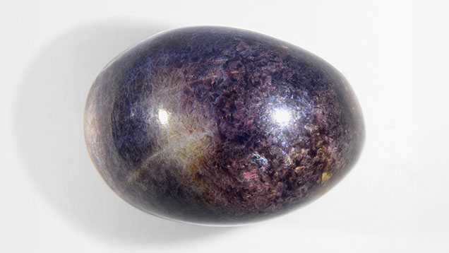 Figure 1. This 8.03 ct brown oval imitation pearl resembled a pen pearl at first glance. Photo by Ravenya Atchalak.