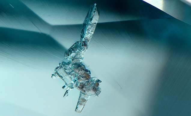 Prismatic colorless lepidolite crystal in a copper-bearing tourmaline. Photomicrograph by Virginia Schneider; field of view 1.58 mm. Prismatic colorless lepidolite crystal in a copper-bearing tourmaline. Photomicrograph by Virginia Schneider; field of view 1.58 mm.
