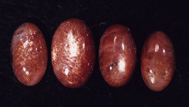 これらのカボションカットされた灰曹長石日長石は、魅力的なアベンチュレッセンスの輝きを示しています。 - エドワードグベリン、提供：エドワード J. グベリン博士コレクション