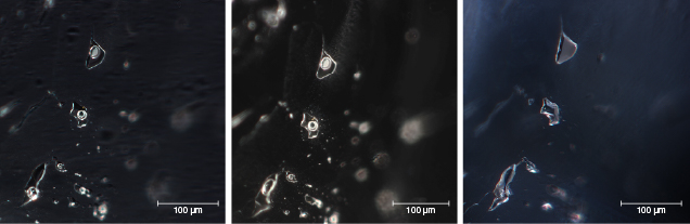 Two-phase inclusion in beryl before and after heat treatment