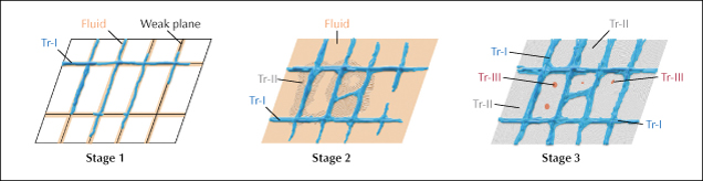 Illustration showing three stages of a process with grids, fluids, and labels for Tr-I, Tr-II, and Tr-III.