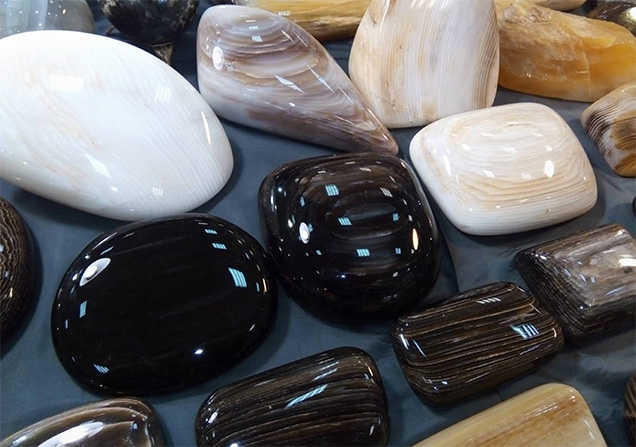 Petrified wood from the Russian Far East.