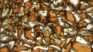 Summer 2023 Micro-World Banner