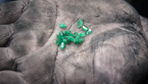 Colombian emerald crystals Colombian emerald crystals