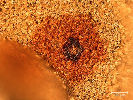 Microstructure of a gold tarnish spot