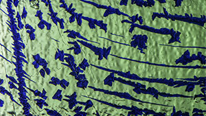 Fall 2024 Micro-World Banner