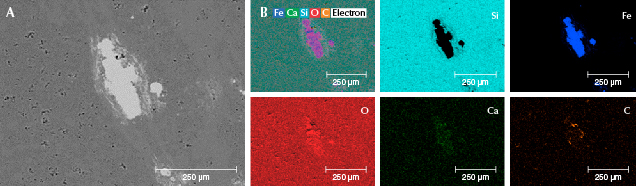 Figure 15. Element mapping of sample S6 using SEM-EDS. A: A long square columnar disseminated mineral showing high contrast. B: Element mapping of the sample for silicon, iron, oxygen, calcium, and carbon.