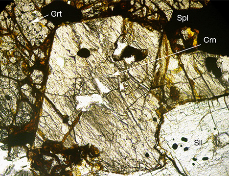 Assemblage from the Kinh La occurrence