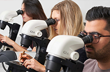 PE_Landing_ProgramOptions-Gemologist-216x142