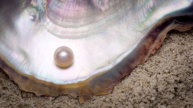 Pearls Grading Lab Images