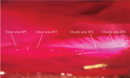 Figure 2. LA-ICP-MS analysis spots located in clean and cloudy regions within the ruby. Photomicrograph by Makoto Miura; field of view 3.99 mm.