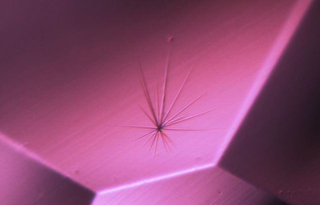 IMG - WN13 LN 157448 636x358