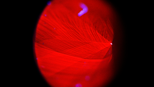 Diamond View Synthetic Diamond