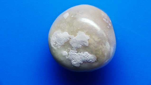 Claylike material on pearls tested by the Gübelin Gem Lab.