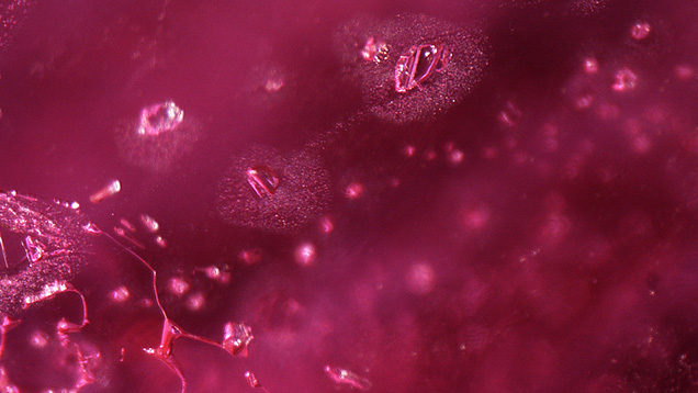 Crystal inclusions with rosettes