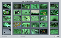  216x122 Emerald Inclusion Chart 