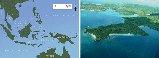 Cultured pearl's origin