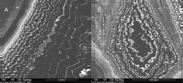 IMG-FA13-Dumansk 154381 636x358