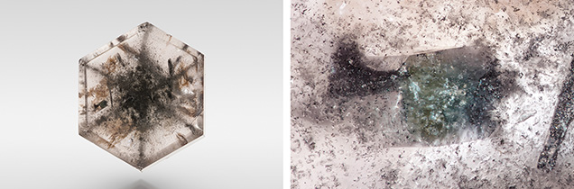 Figure 2. Columnar marialite inclusions in a grossular slice. Photos by Tsang Ho Yin; field of view 0.86 mm (right).