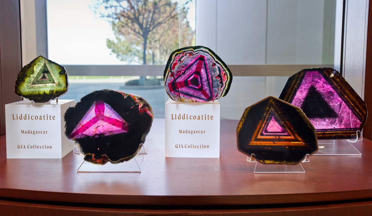These liddicoatite slices were displayed at GIA in Carlsbad in honor of Richard T. Liddicoat's birthday. Photo by Kevin Schumacher/GIA