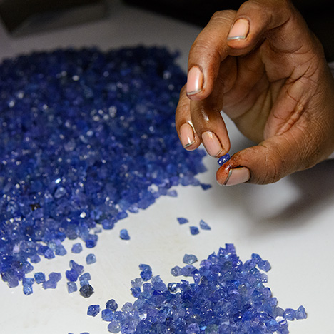 Rough sorting of tanzanite at RMC