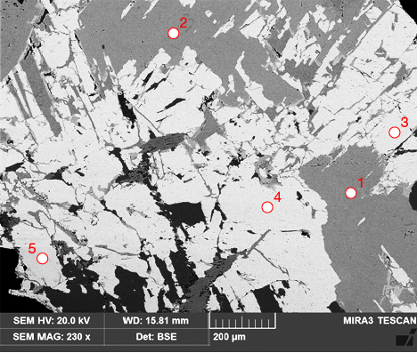 Backscattered electron image of rhodonite/pyroxmangite