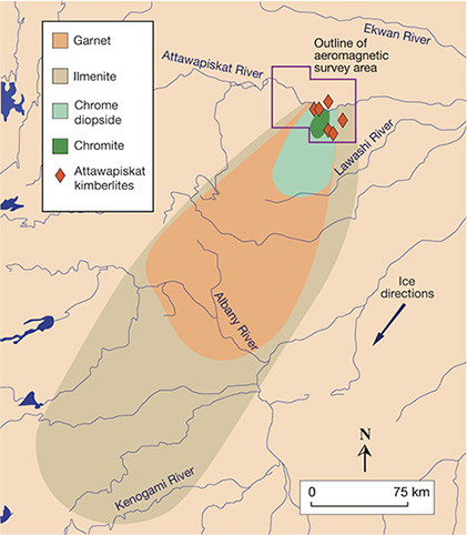 IMG - WN13 Shirey 157627 468x536