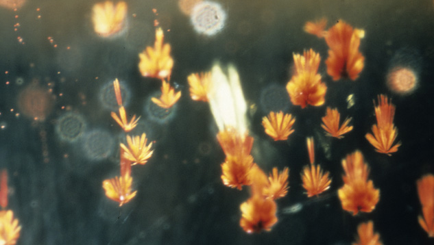 Microscopic inclusions in citrine are usually not visible without high magnification.