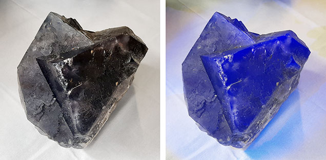 Figure 2. A twinned fluorite crystal from Nigeria (approximately 7 inches in diameter) shown under fluorescent light (left) and long-wave UV light (365 nm, right). Courtesy of Jigga Collins.