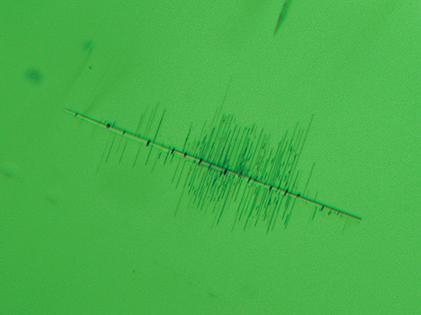 Burmese peridot exhibits fishbone-like inclusion.