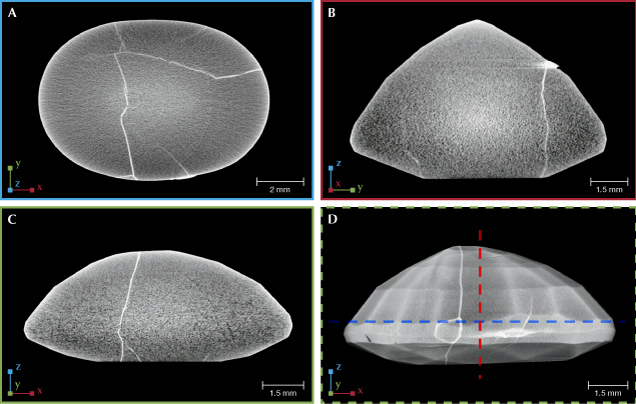 Four images of a specimen viewed from different angles, showing surface details and cracks. Scale bars indicate size.
