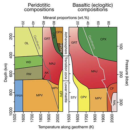 IMG - WN13 Shirey 157626 468x468